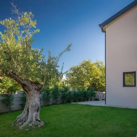 Villa Family Alves With Pool And Grill In Porec